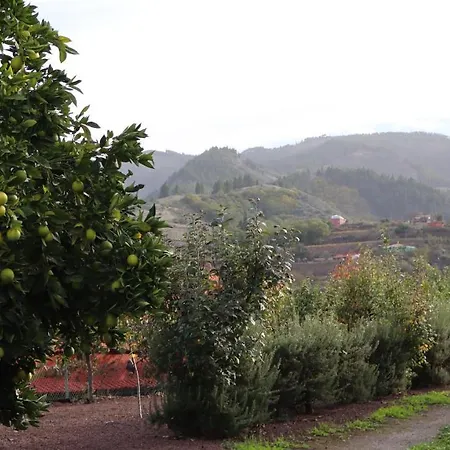 Don Amado, San Mateo 라스팔마스