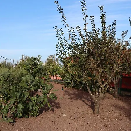 Don Amado, San Mateo