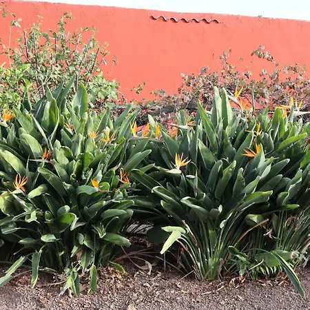 Don Amado, San Mateo Lägenhet Las Palmas de Gran Canaria