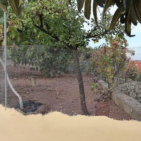 Don Amado, San Mateo * Las Palmas de Gran Canaria