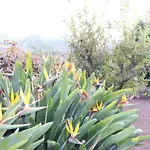 Don Amado, San Mateo