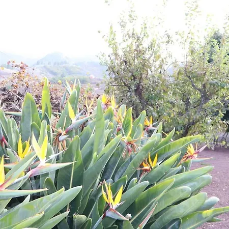 En Don Amado, San Mateo