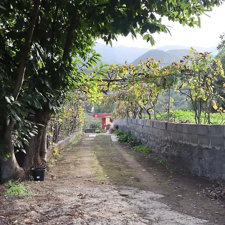 Don Amado, San Mateo *