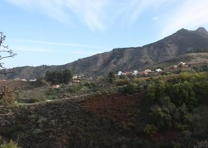 Don Amado, San Mateo Las Palmas