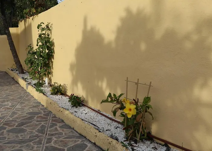 Don Amado, San Mateo Las Palmas