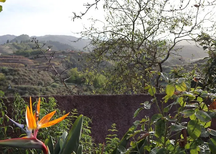 Appartement Don Amado, San Mateo *