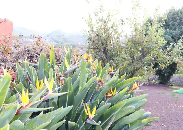 Don Amado, San Mateo