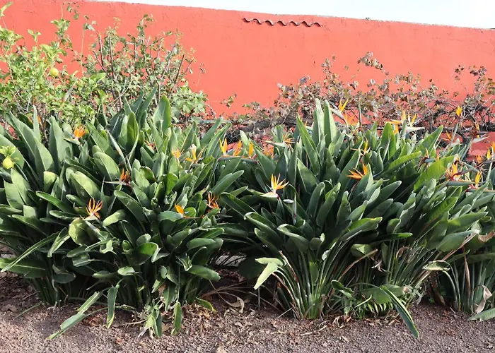 Don Amado, San Mateo Appartement Las Palmas