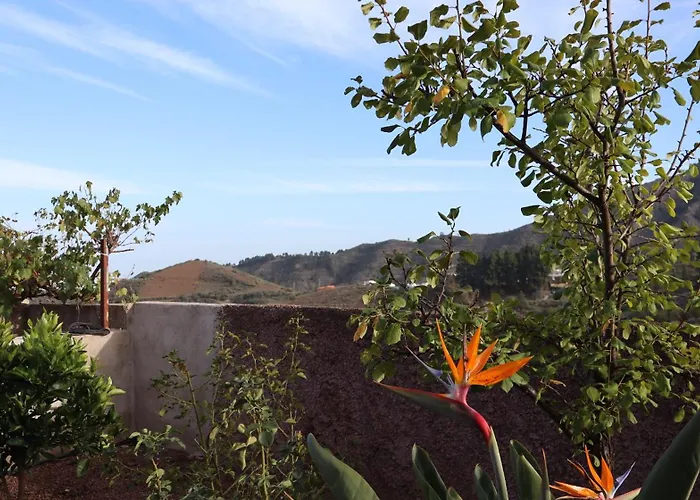 Don Amado, San Mateo *