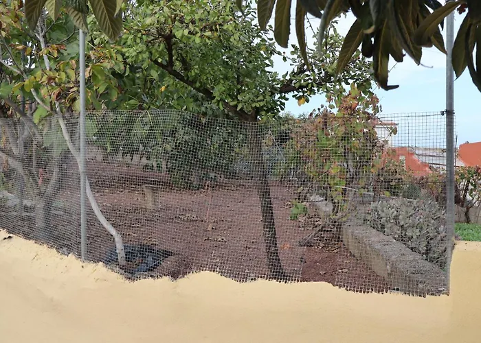 Don Amado, San Mateo * Las Palmas de Gran Canaria