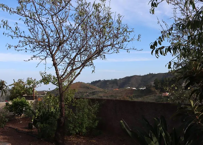 Don Amado, San Mateo Las Palmas