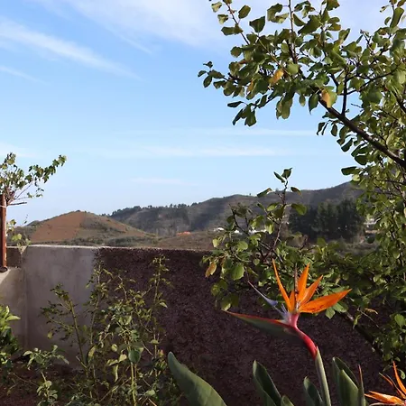 Don Amado, San Mateo *