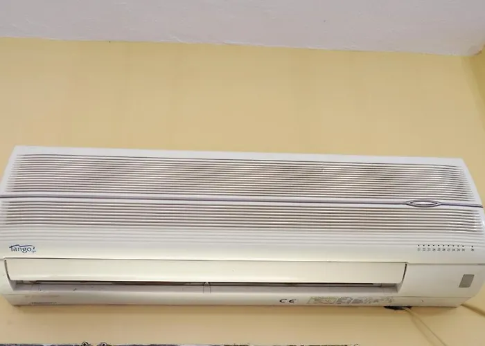 Don Amado, San Mateo Διαμέρισμα *