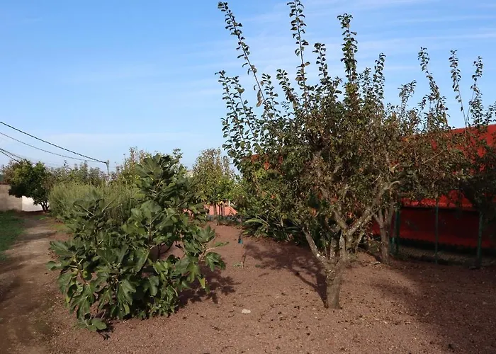 Don Amado, San Mateo