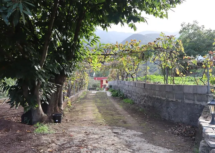 Don Amado, San Mateo *