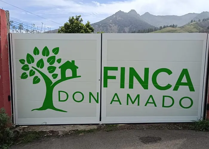 Don Amado, San Mateo Λας Πάλμας ντε Γκραν Κανάρια